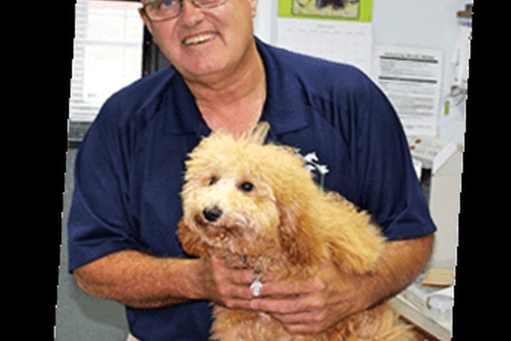 Pet Friendly Warrick Veterinary Clinic