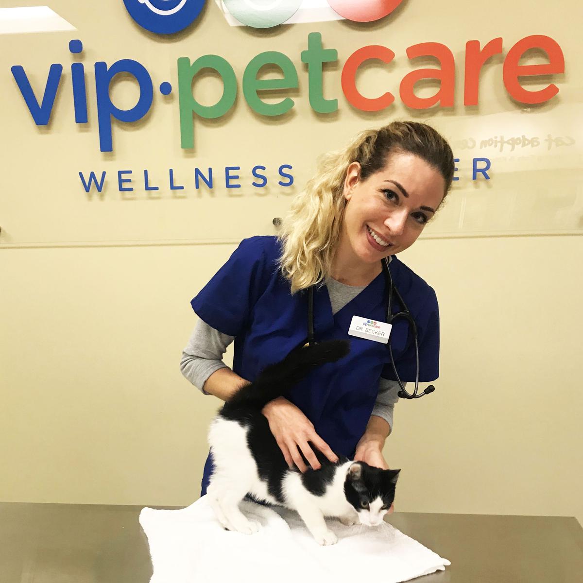 VIP Petcare Wellness Center Long Beach