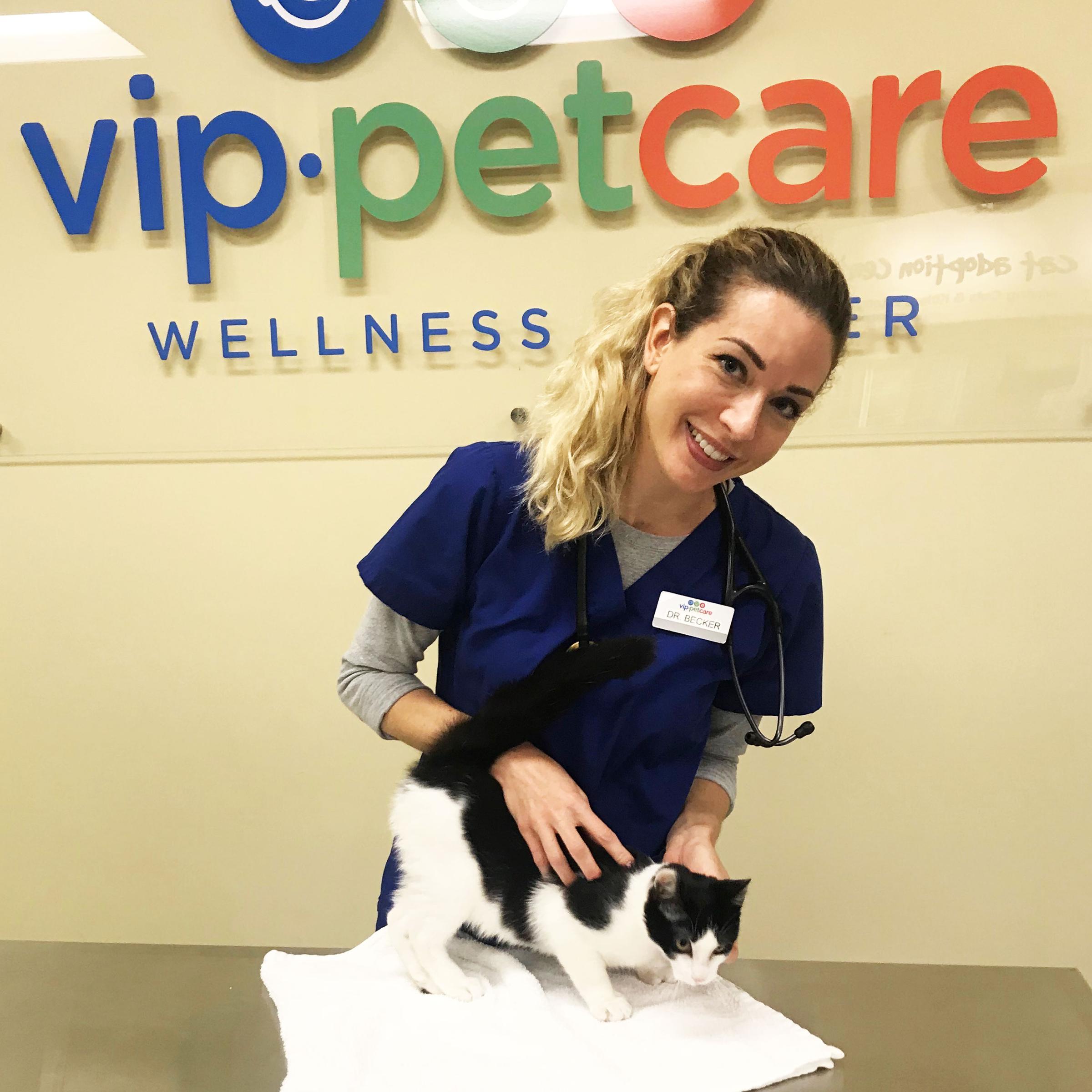 Pet Friendly VIP Petcare Wellness Center Long Beach