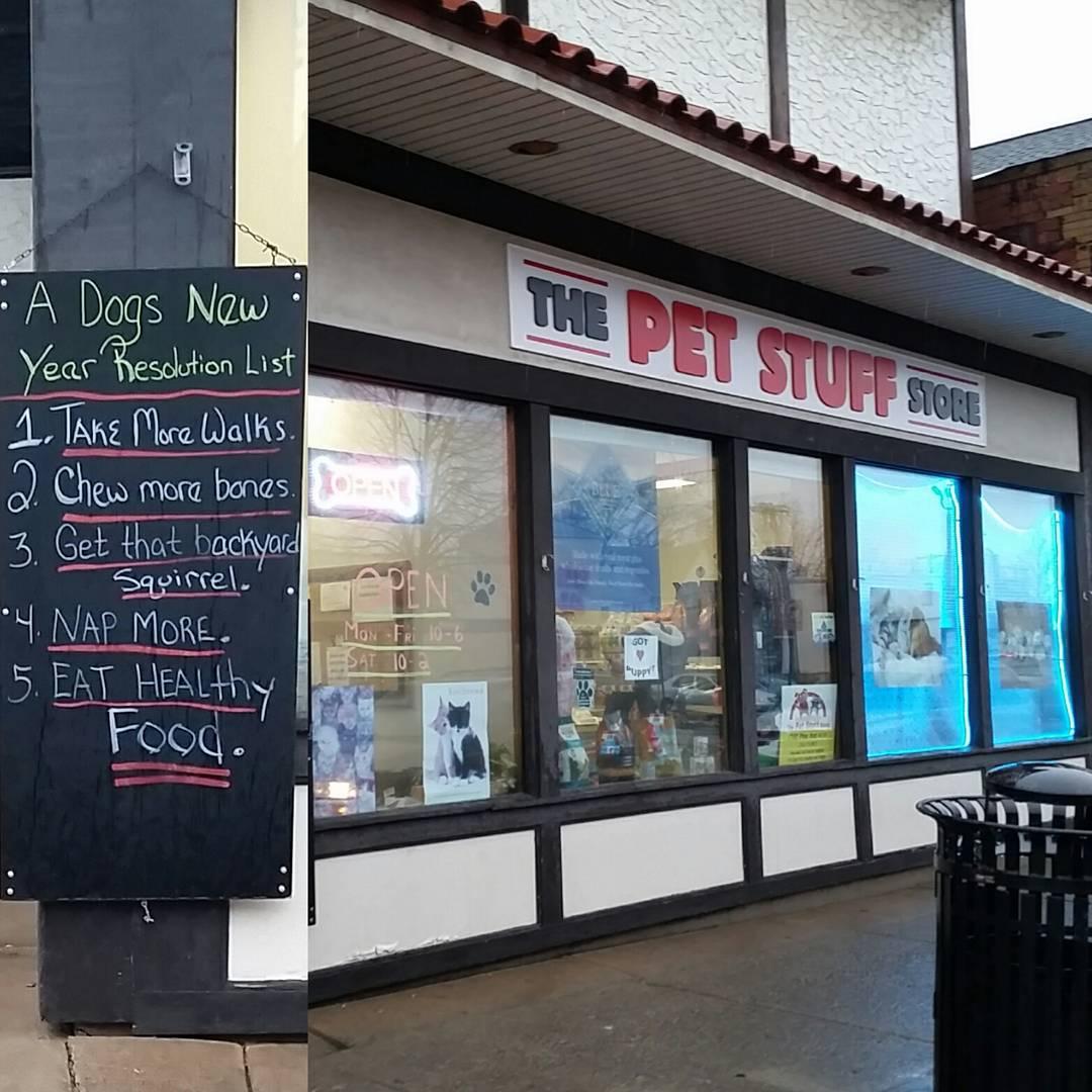 Directory of Pet Stores in Niagara Falls NY BringFido