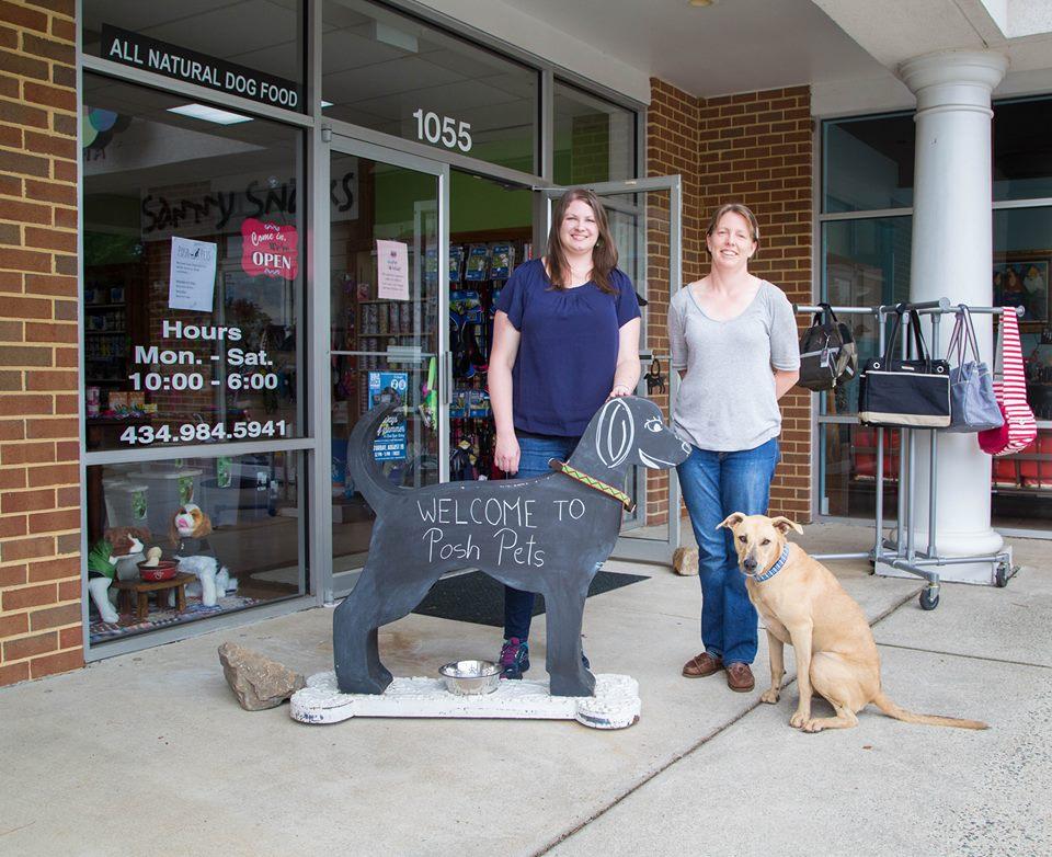 Dog stores open near me sales