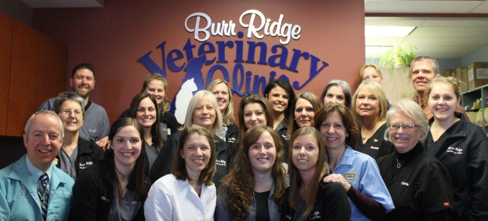 Pet Friendly Burr Ridge Veterinary Clinic