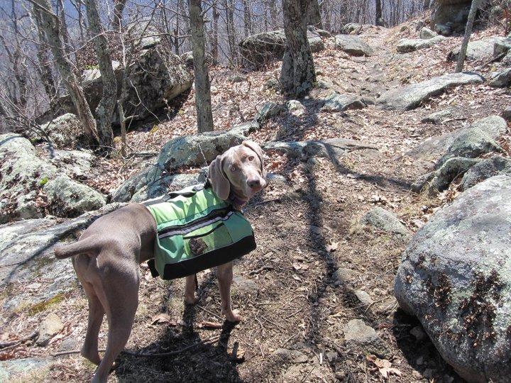 home goods chesapeake va