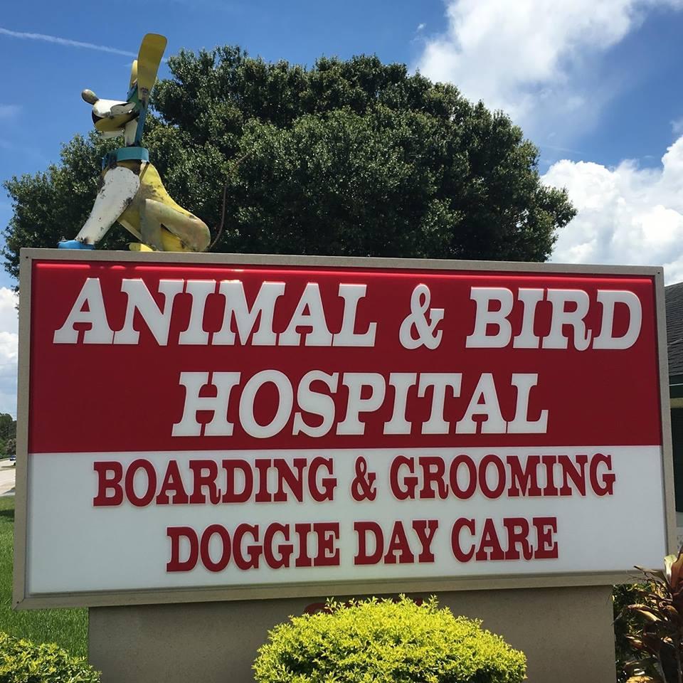 Animal & Bird Hospital of Clearwater
