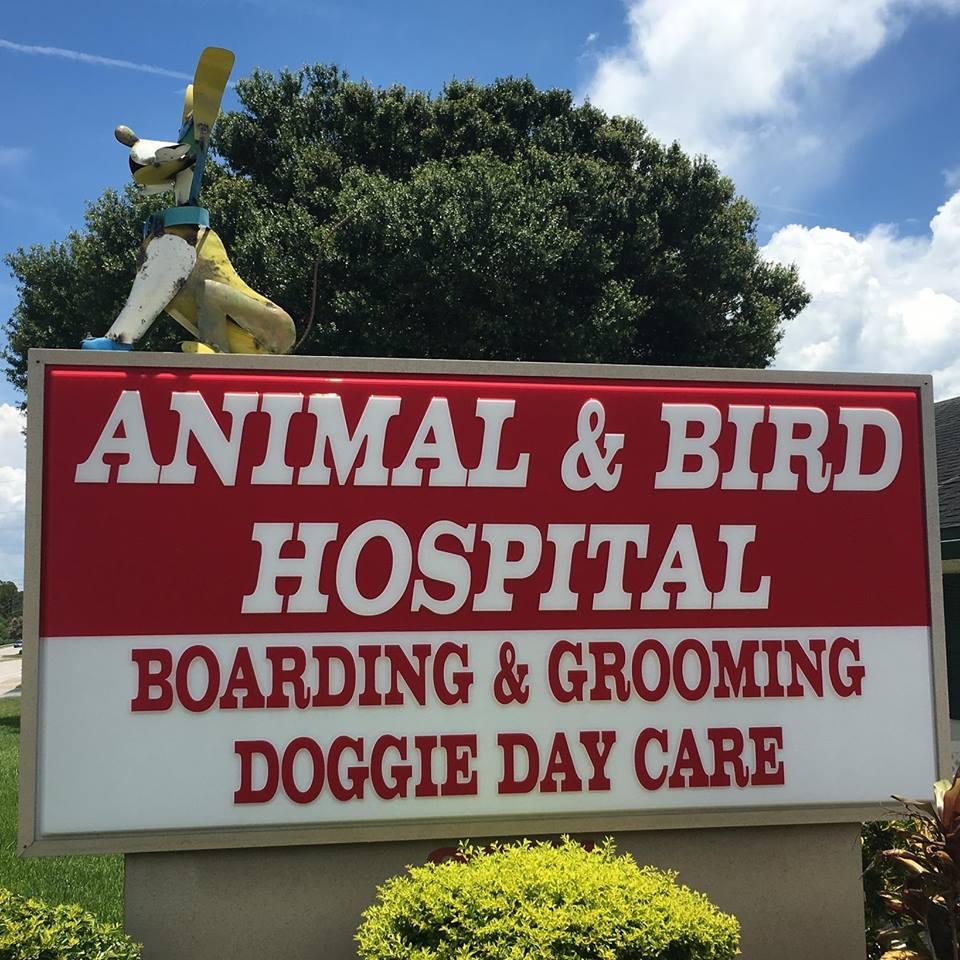 Pet Friendly Animal & Bird Hospital of Clearwater