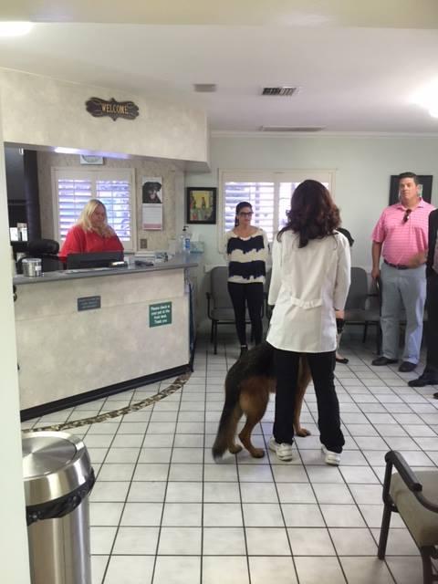 animal and bird hospital