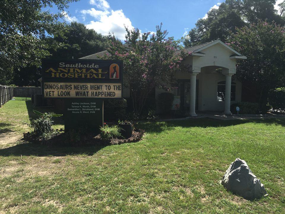 Southside Animal Hospital