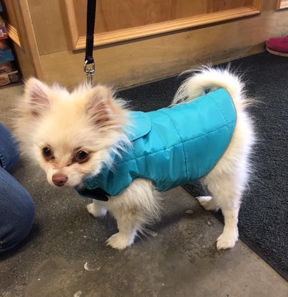 Pet Planet Crowfoot Corner