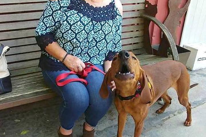 Directory of Animal Shelters in Mars Hill, NC - BringFido Directory of Animal Shelters in Mars Hill, NC - BringFido