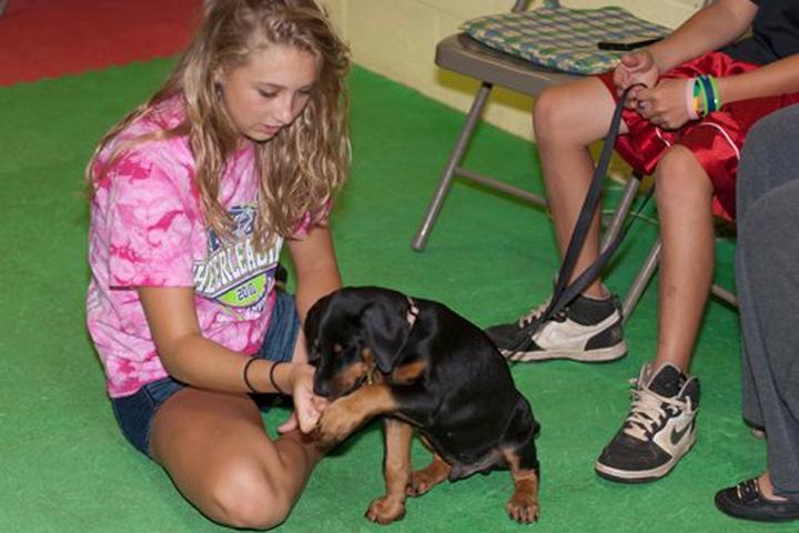 Pet Friendly Affinity Dog Behavior & Training, LLC