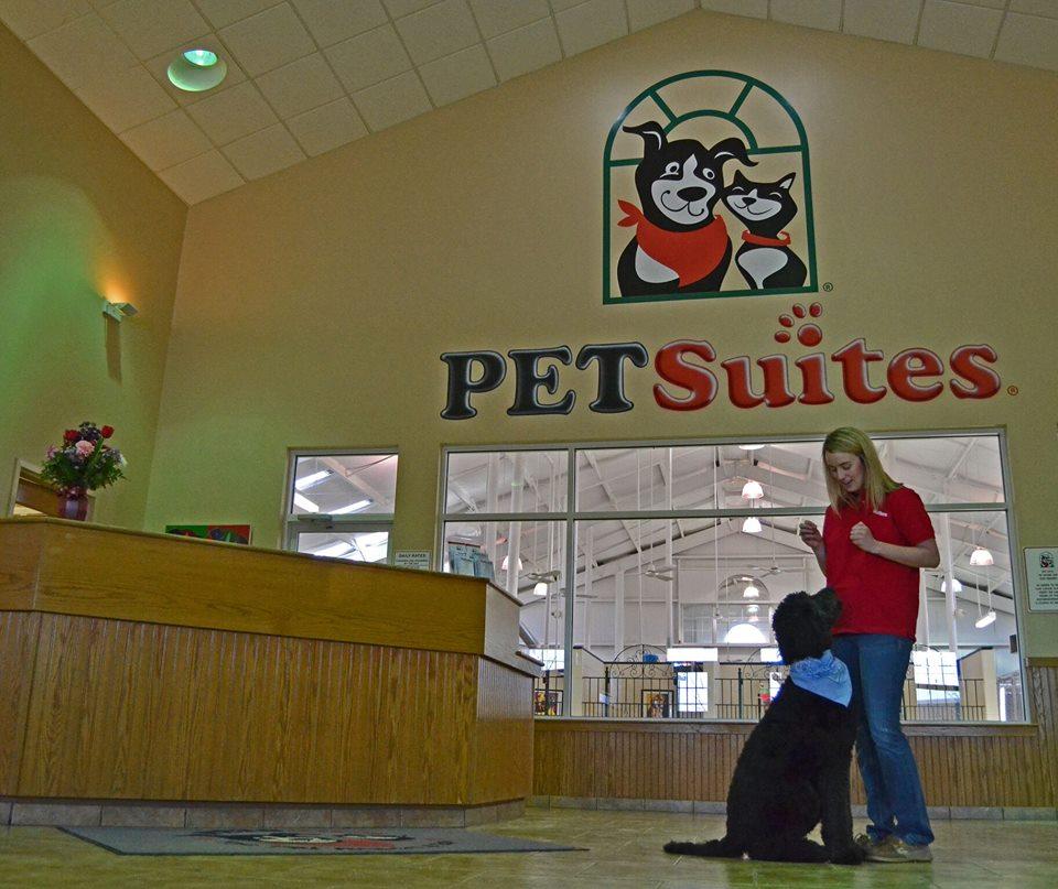 PetSuites Lexington