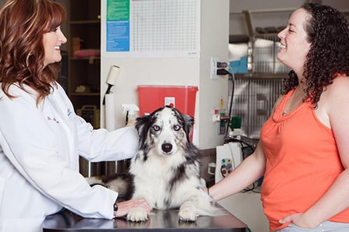 Pet Friendly Northfield Veterinary Hospital