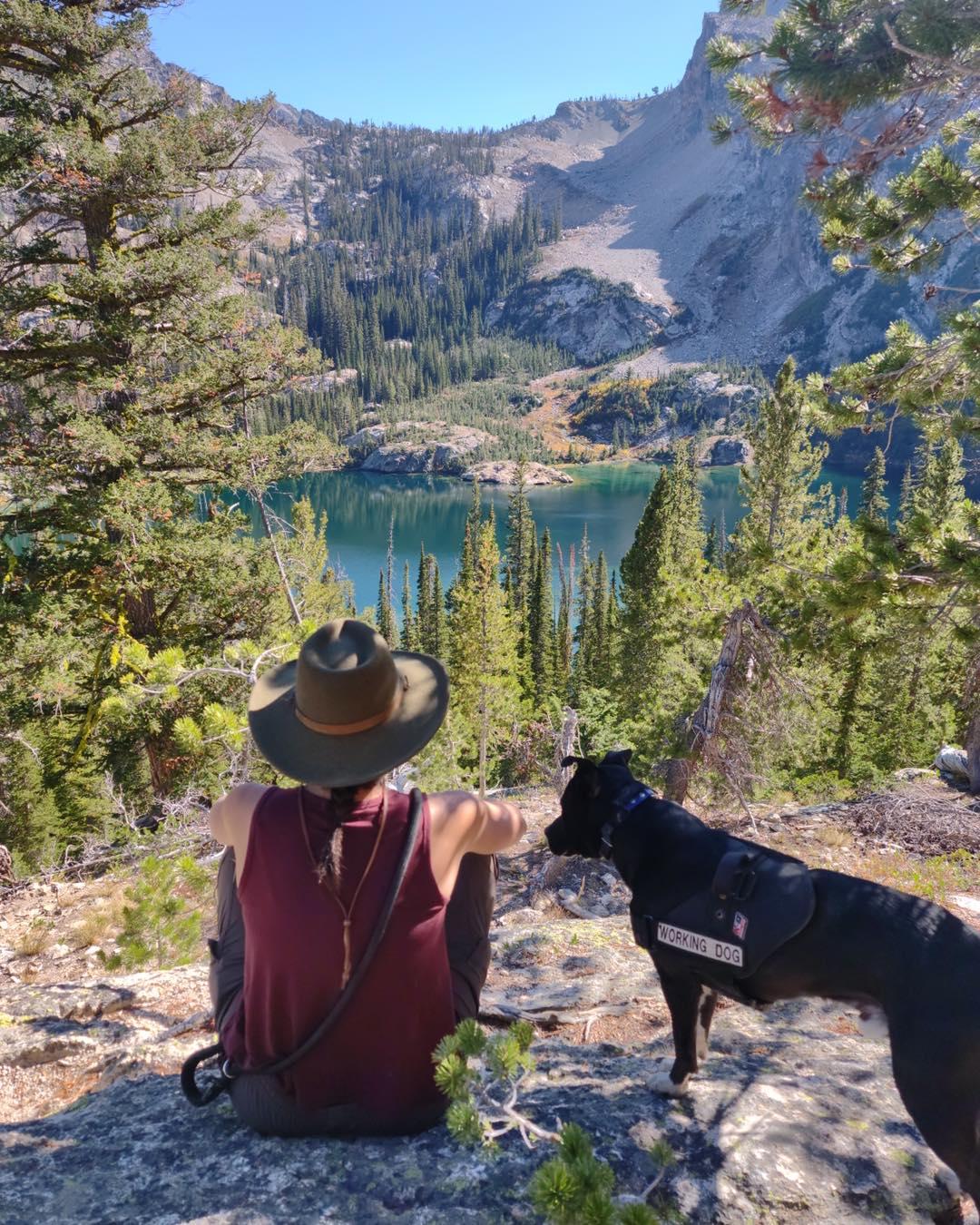 Mountain k9 dog training clearance