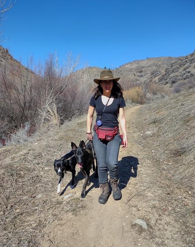Mountain k9 dog clearance training