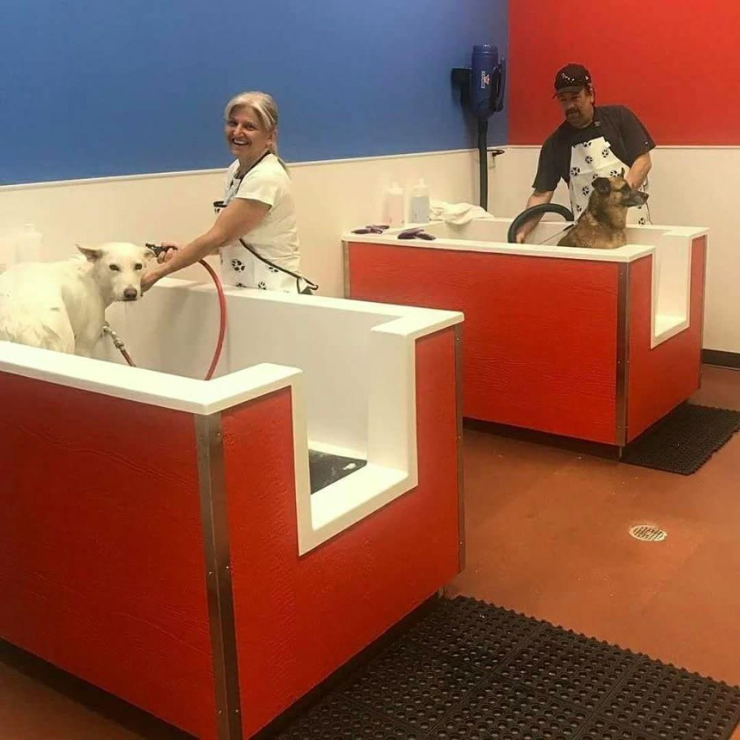 Bogart's Bon Appetit Summerlin