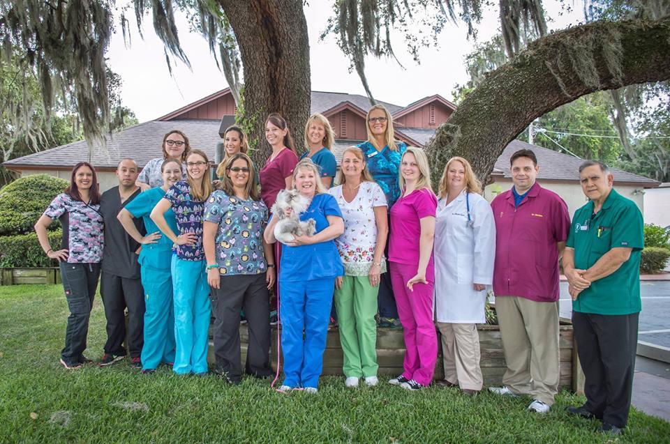 Santa Cruz Animal Clinic