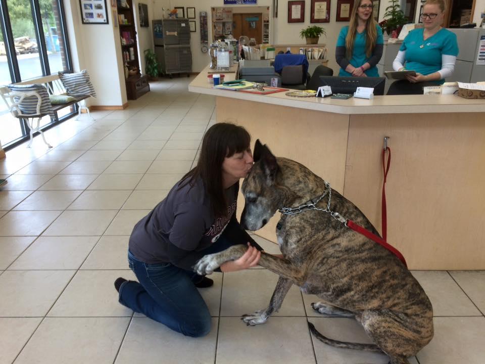 Pet Friendly Animal Hospital of Tiger Point