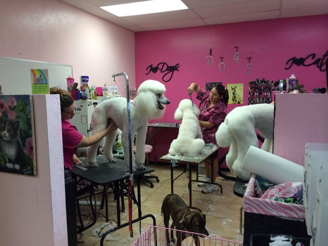 Grooming salon on sale near me