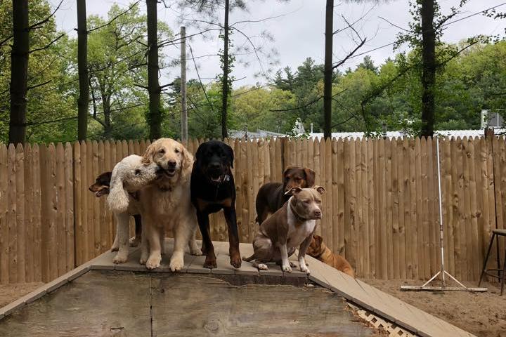 Full hook up campsites in glastonbury ct menu Full hook up campsites in glastonbury ct menu