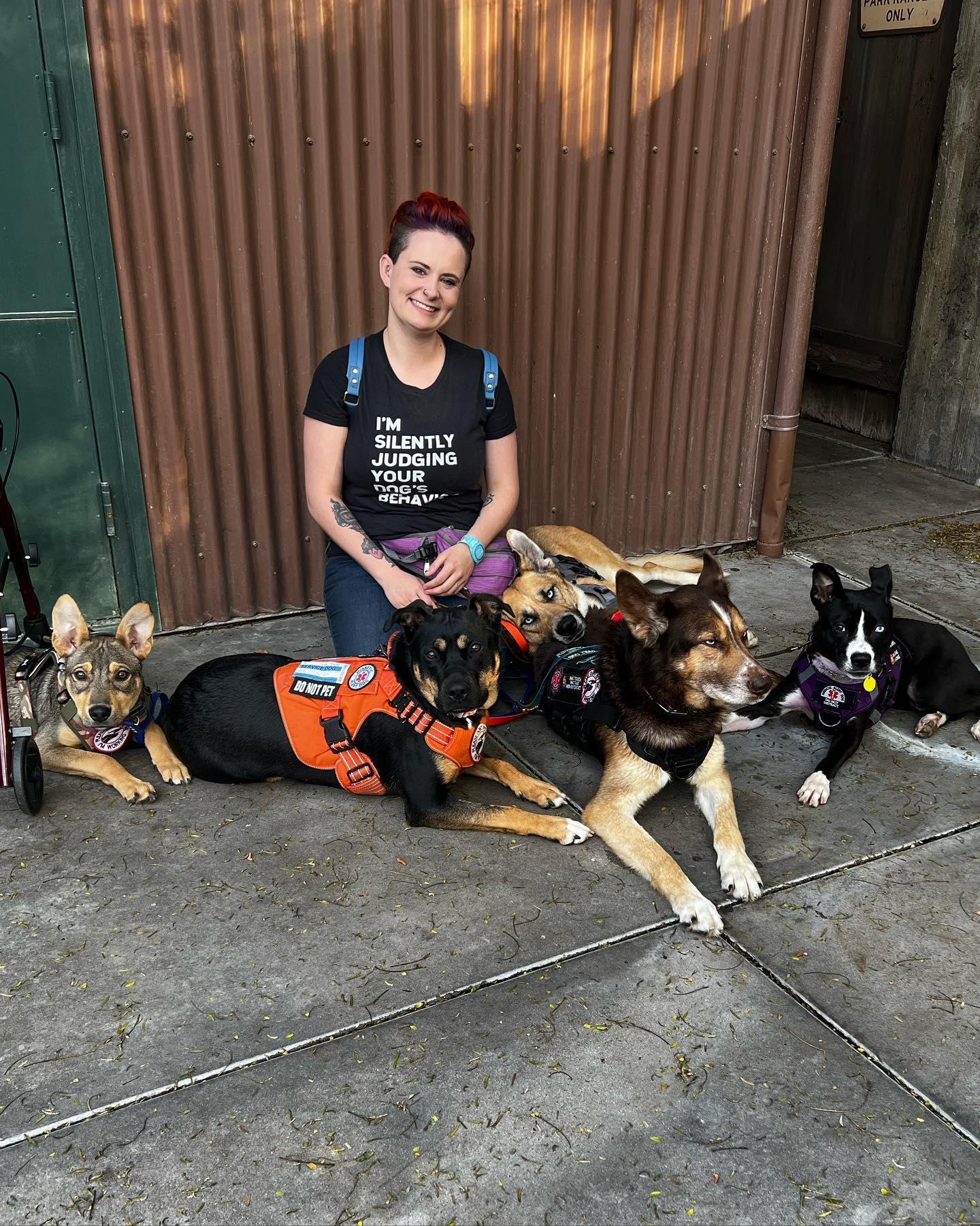 Pet Friendly The Tenacious K9