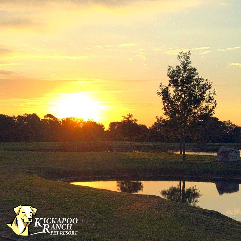 Kickapoo Ranch Pet Resort