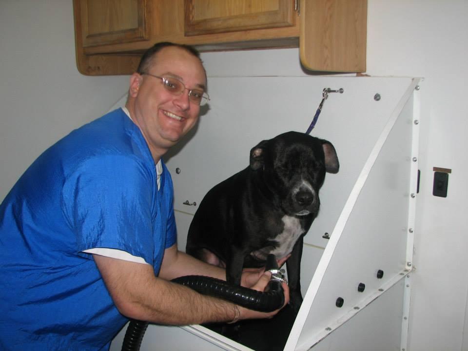 Green Dog Mobile Grooming