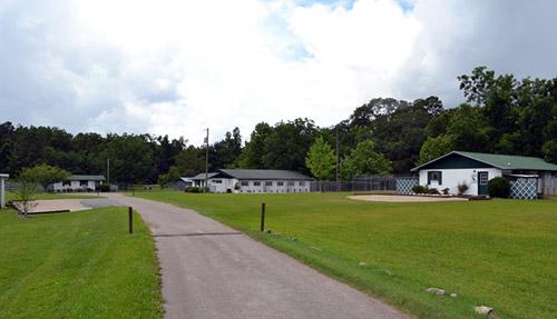 Directory Of Doggie Daycare Boarding In Tallahassee Fl Bringfido Directory Of Doggie Daycare Boarding In Tallahassee Fl Bringfido