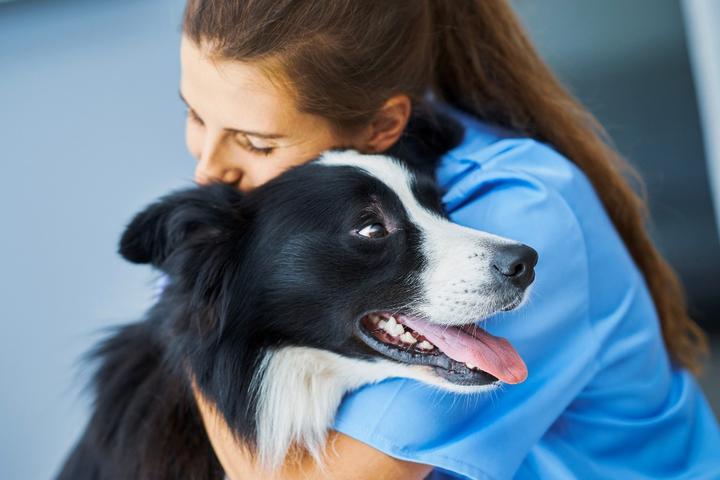 Pet Friendly Chestermere Veterinary Clinic