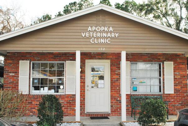 Pet Friendly Apopka Veterinary Clinic