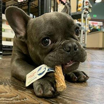 Healthy pet pantry store