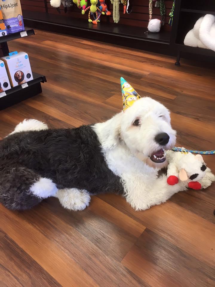 Pet Valu