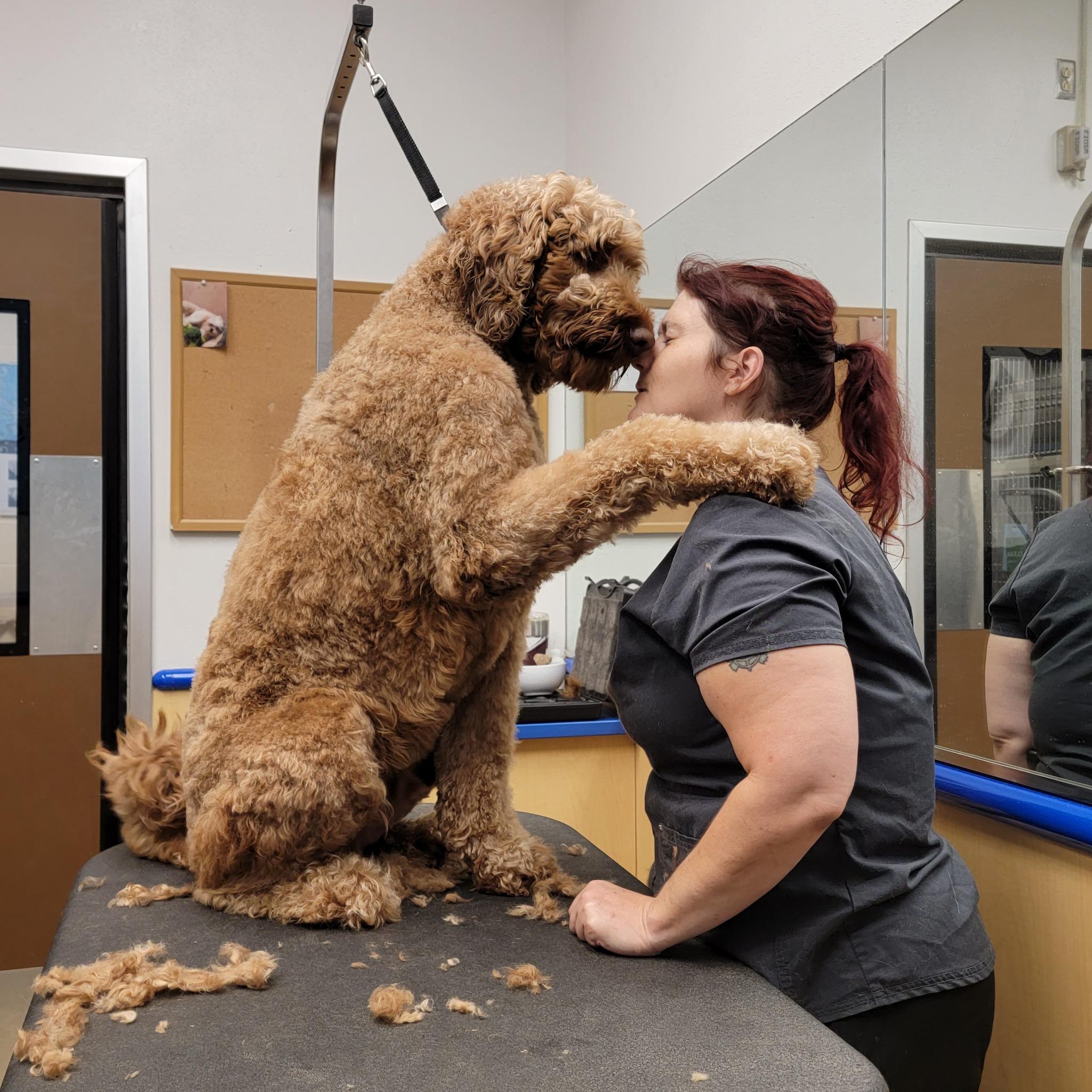 Pet Friendly Petsense Gallatin