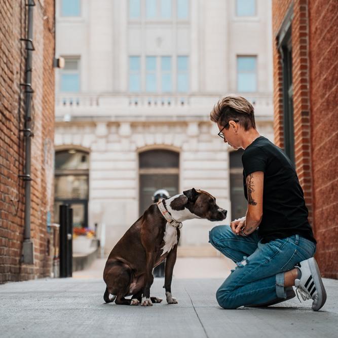 Pet Friendly J Shallow Photography
