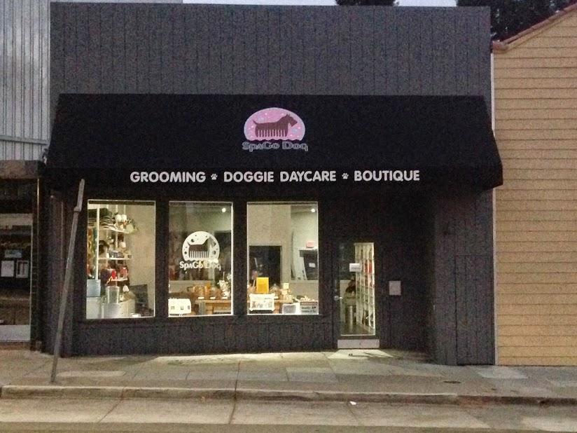 SpaGo Dog