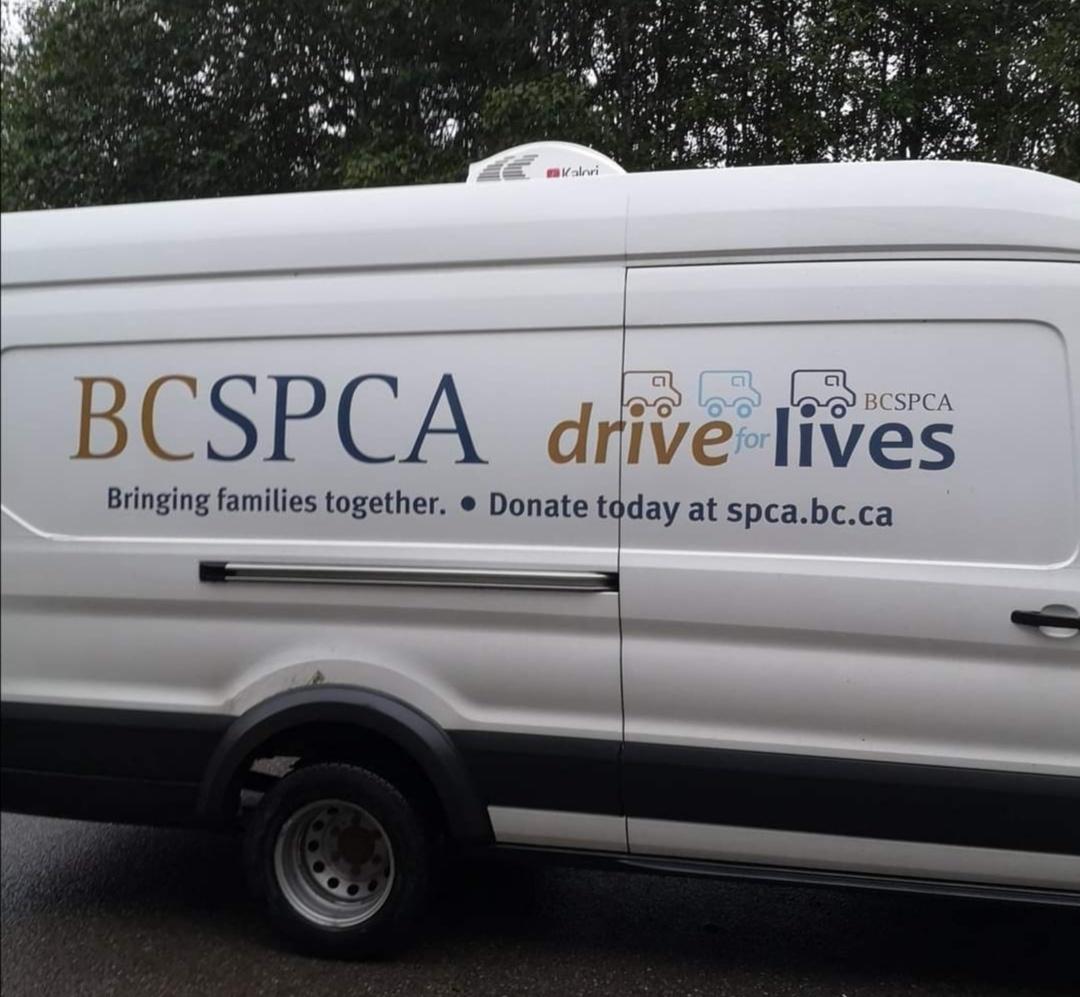 Prince store rupert spca