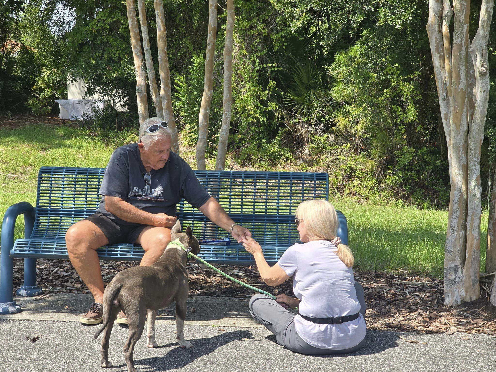 Pet Friendly SMART - Saving Missing Animals Response Team