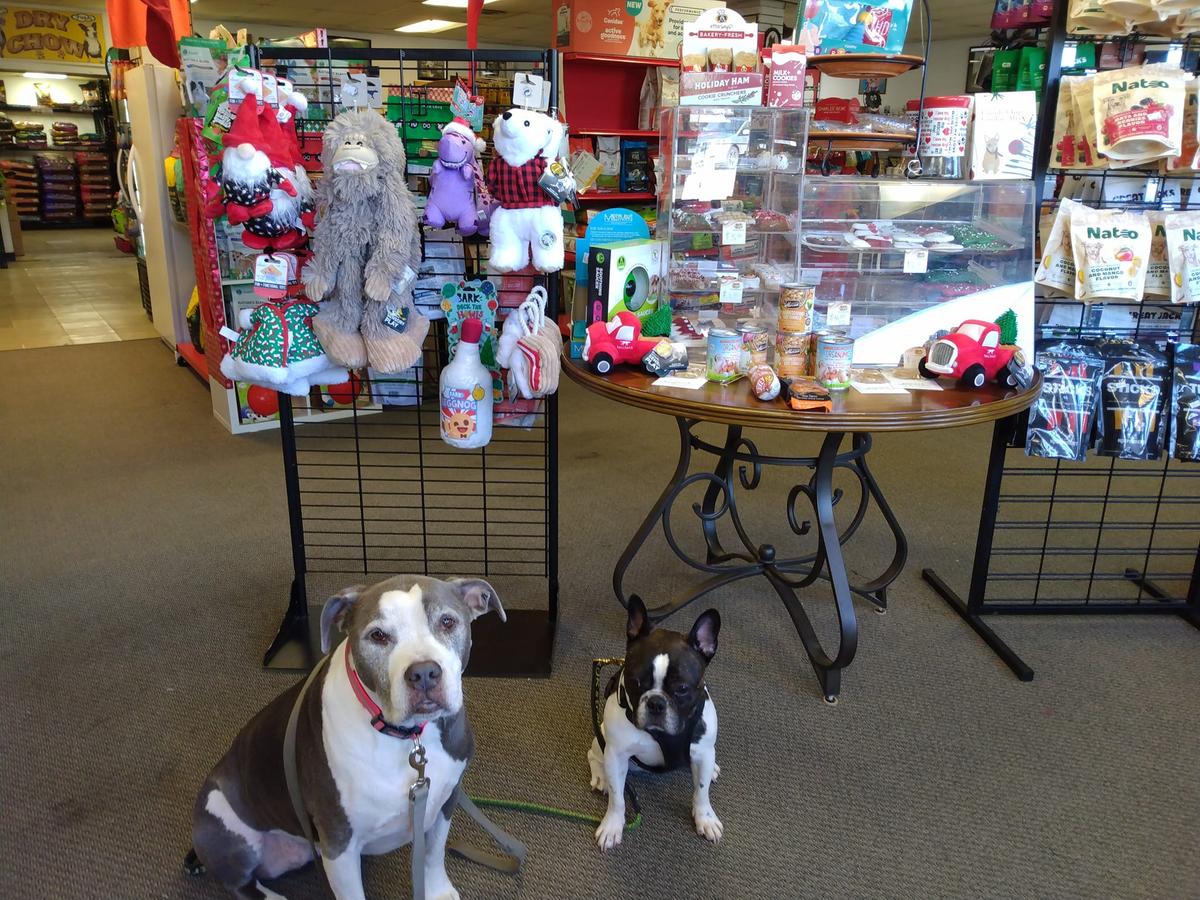 Dog daze hot sale natural pet market