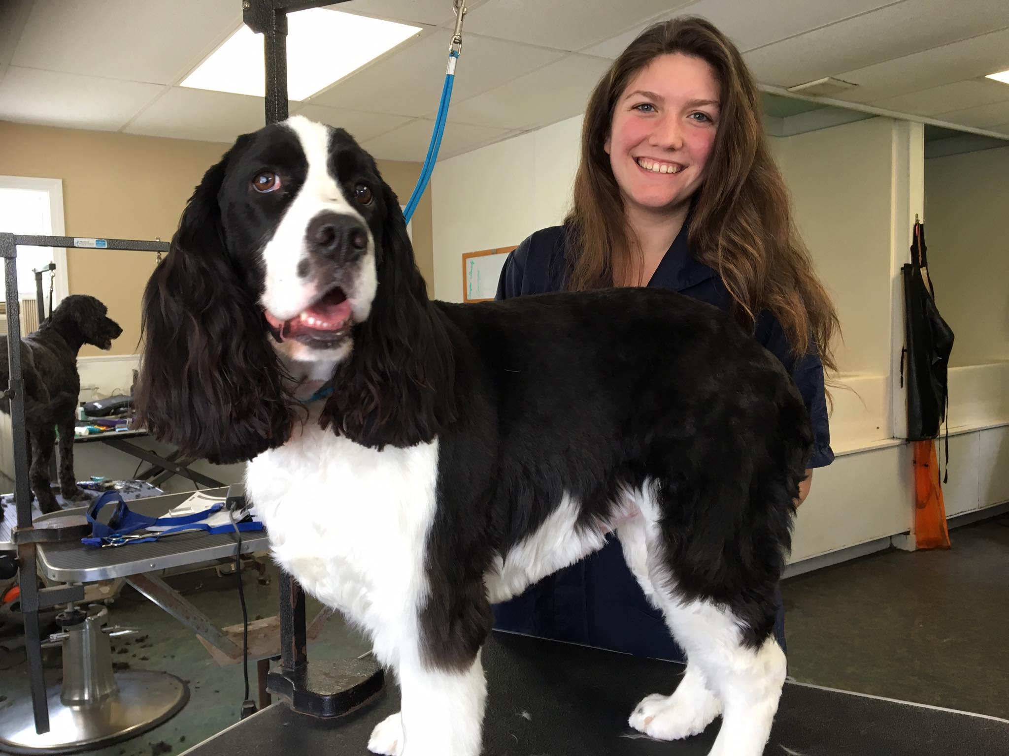 Pet Friendly A+ Pet Grooming Academy