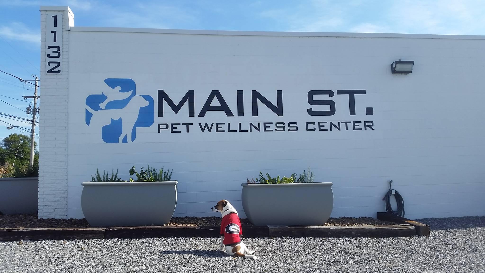 Pet Friendly Main Street Pet Wellness Center