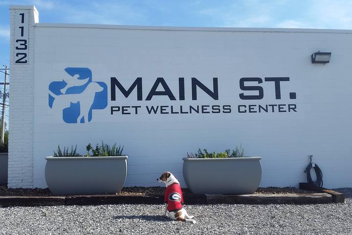 Pet Friendly Main Street Pet Wellness Center