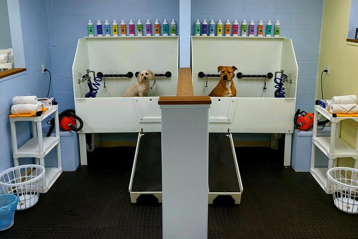 Pet Friendly Canine Clean - Self Serve Dog Wash and Dog Boutique