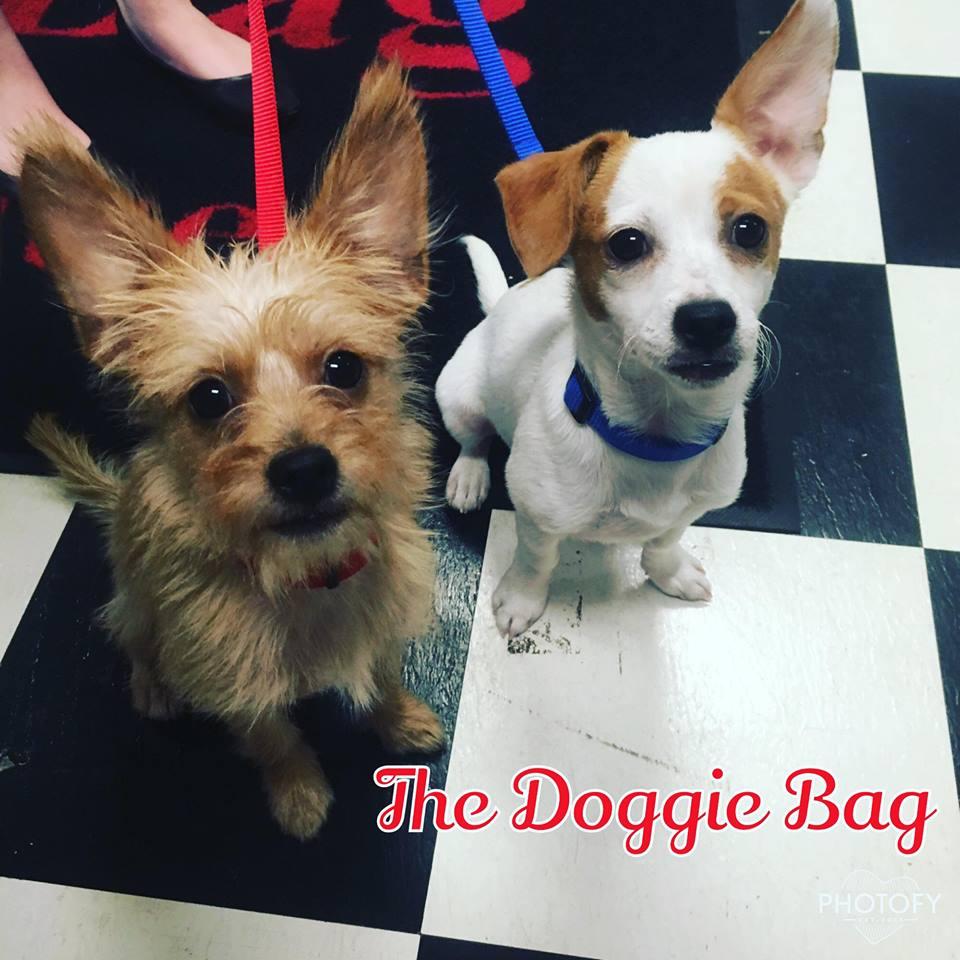 The Doggie Bag A Pet Boutique