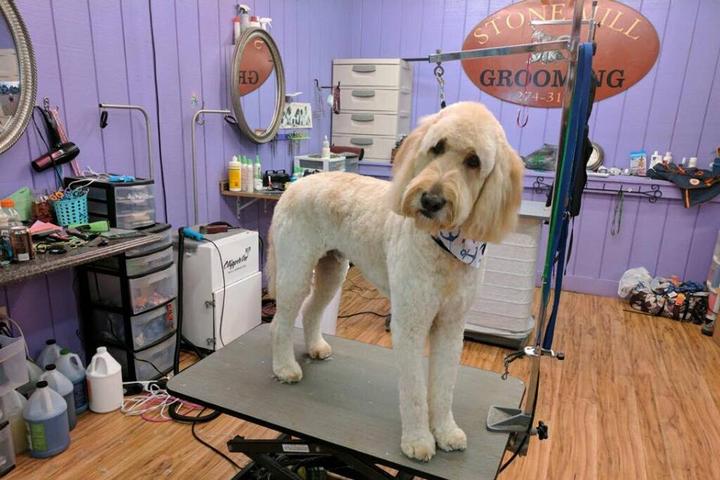 Pet Friendly Stone Mill Grooming