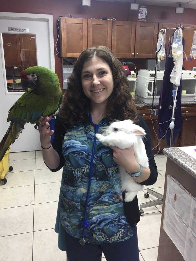 Texas Avian Exotic Hospital