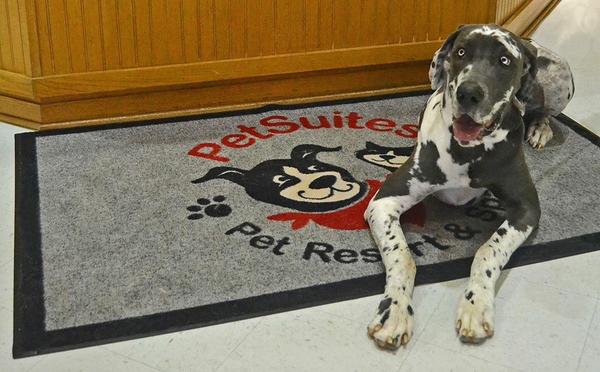 PetSuites Winter Springs