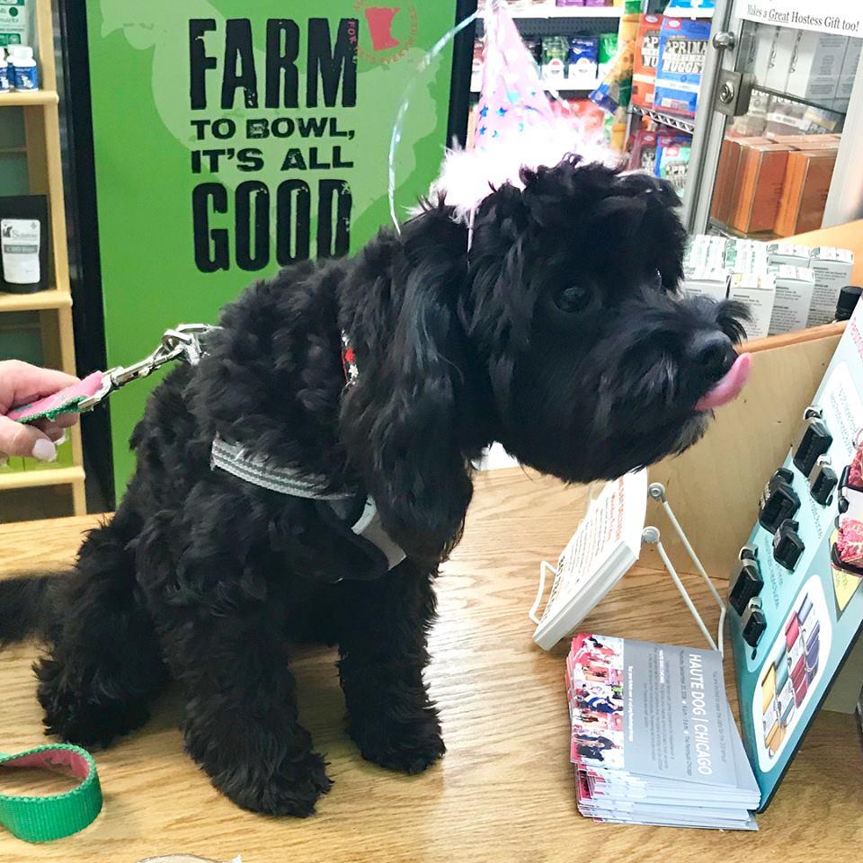 Noah s Ark Pet Supply
