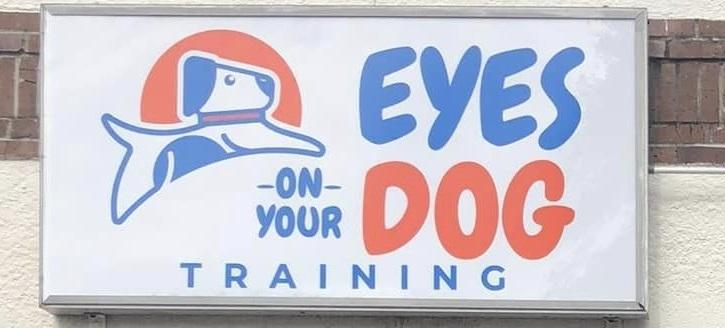 Pet Friendly Eyes On Your Dog