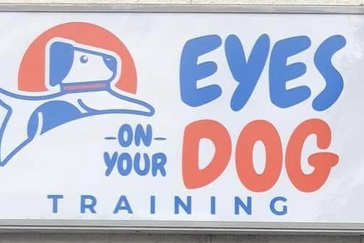 Pet Friendly Eyes On Your Dog