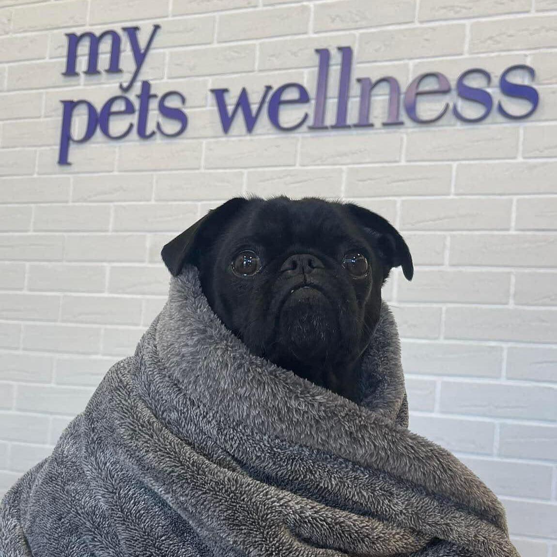 Pet Friendly My Pets Wellness — Knoxville Hardin Valley