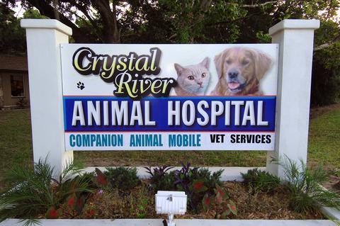 Crystal springs 2024 veterinary clinic